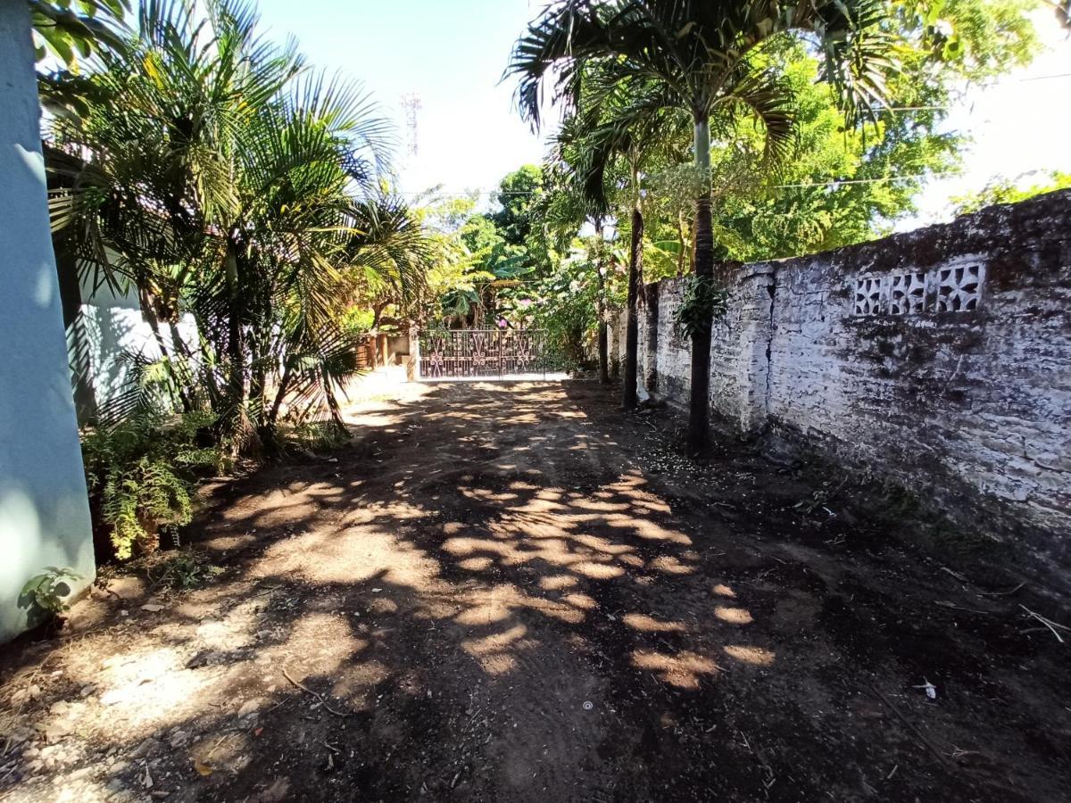 Bed and Breakfast Ometepe House Moyogalpa Esterno foto