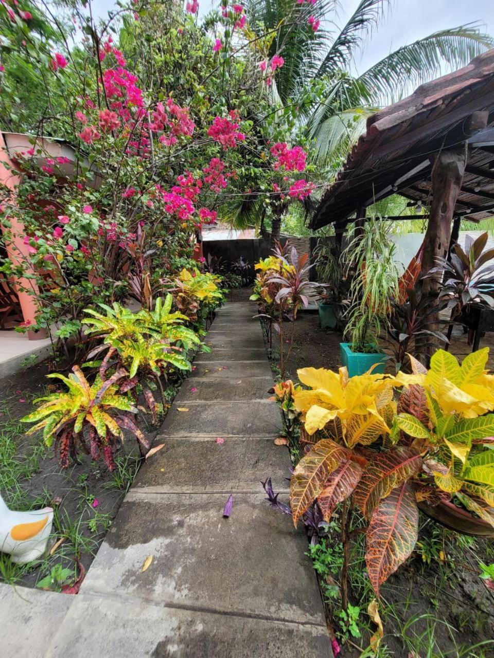 Bed and Breakfast Ometepe House Moyogalpa Esterno foto